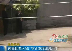 水泥厂惊现腐尸，揭开隐藏的真相与安全防护的重要性