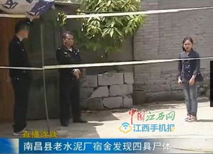 水泥厂惊现腐尸，揭开隐藏的真相与安全防护的重要性