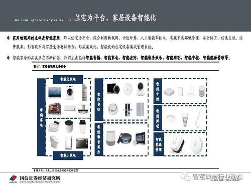 执行信息公开网，透明度的力量与挑战