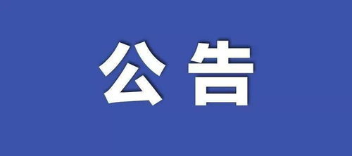 执行信息公开网，透明度的力量与挑战