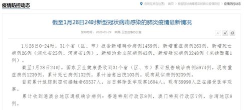 疫情动态，31个省份新增确诊病例17例的解读与应对