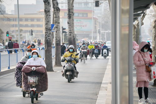 河北石家庄疫情最新动态，防控措施与市民生活现状