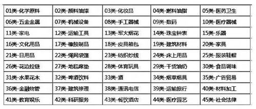 商标驳回，5年与3年期限的奥秘与应对策略