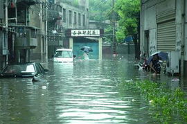 深圳大暴雨，城市雨中的交响曲