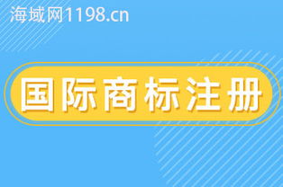 国际域名抢注，网络时代的商标争夺战