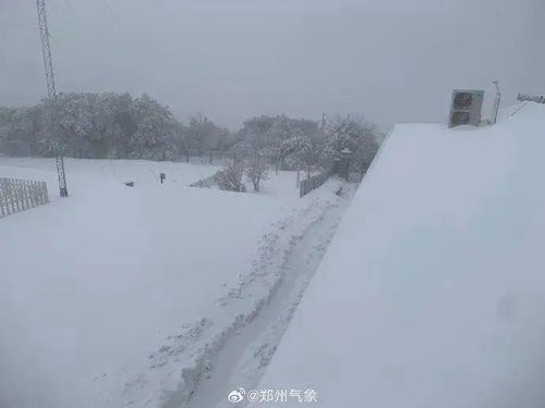 北京竟然下雪了