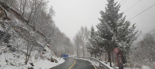 北京竟然下雪了