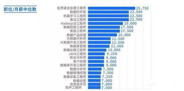 深入了解小客车指标摇号结果，影响因素、结果分析与应对策略