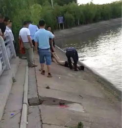 悲剧背后的警示，复旦博士溺水身亡引发的思考