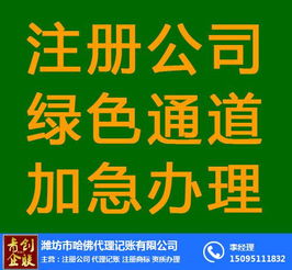 代理记账范围大揭秘，让财务不再头大！