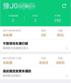 濮阳车辆违章查询，便捷、高效的交通管理助手