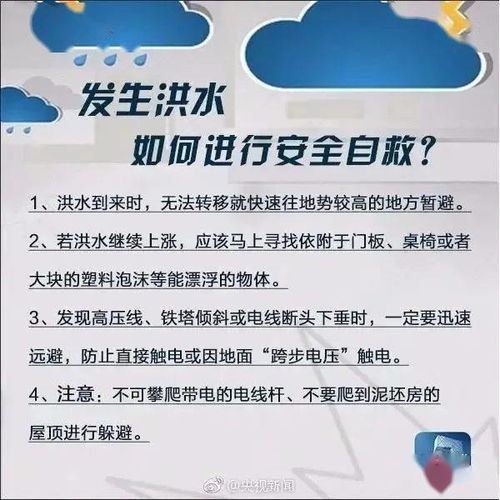 沧州交通事故，预防与应对指南