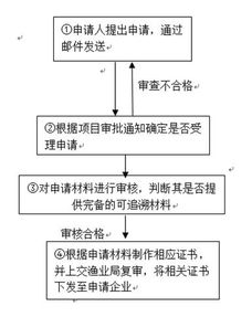 全面指南，电子身份证的办理流程与实用技巧