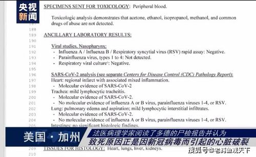 美国新冠肺炎疫情，超651万病例背后的挑战与应对策略