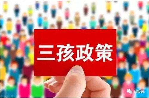 深入理解计划生育政策，只生一个的历史影响与现代意义