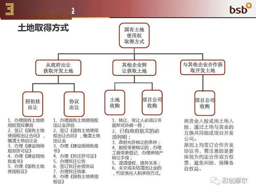 出口许可证办理，流程、要点与实用建议