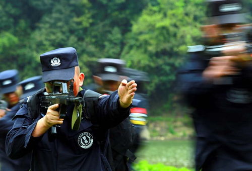 守护正义的利剑，中华人民共和国人民警察法解读