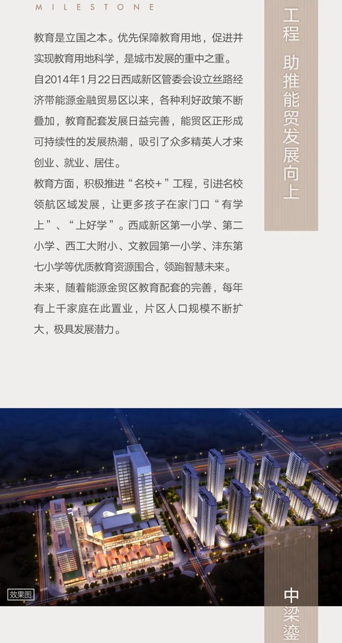 阿拉尔二手房市场深度解析，投资与自住的黄金指南