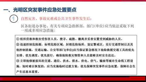 深入解析，突发公共事件的分类及其应对策略