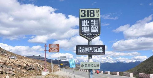 2024年除夕高速免费通行指南，省钱省时，回家路上的温馨提醒