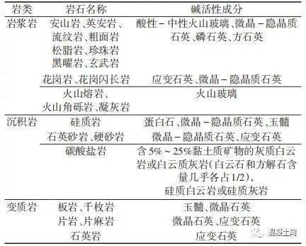 深入解析论文抄袭标准，识别、预防与应对策略