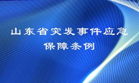 山东省物价局，守护经济脉搏，保障民生福祉