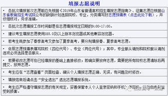 如何正确填写生源地信息，详细指南与实用建议