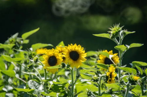 十月一假期，放松身心，享受生活的美好时光