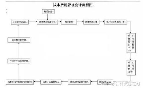深入解析，出纳工作流程的全面指南