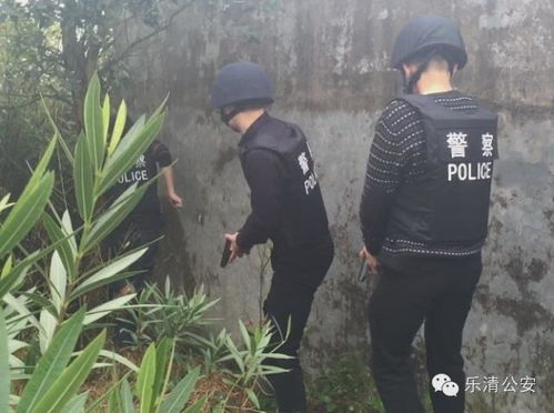 温州绑架案，揭秘背后的真相与社会影响