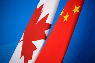 探索枫叶国的机遇，加拿大劳务市场全解析