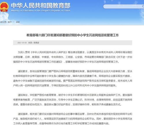 公司审计，企业健康的守护者