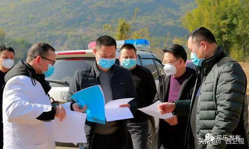 了解疫情动态，31省区市新增确诊病例11例的深入解析