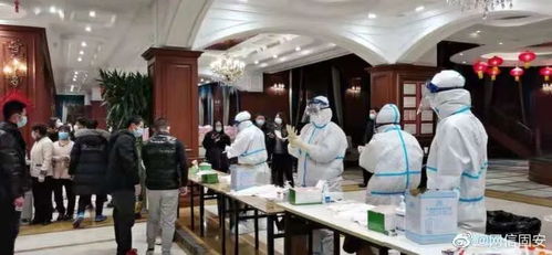 了解疫情动态，31省区市新增确诊病例11例的深入解析