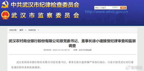 权力与责任，深入解析董事长办公室的职责与挑战