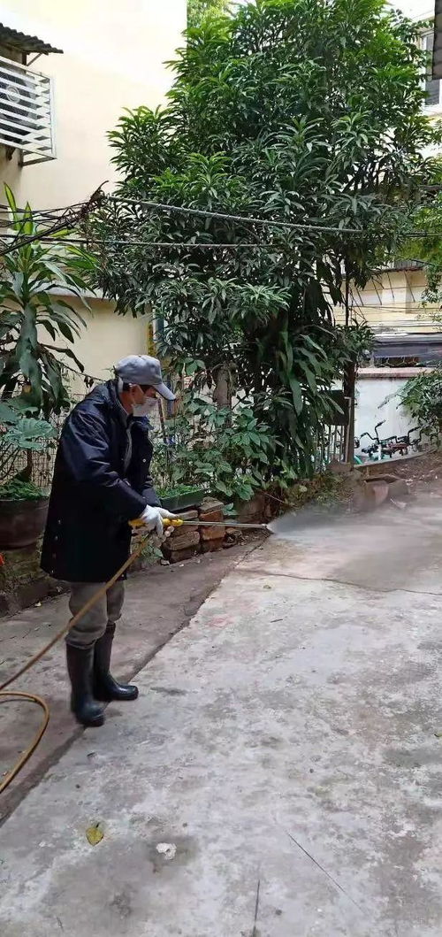 河北战疫新动态，新增本土确诊病例2例，我们如何共同守护健康防线？