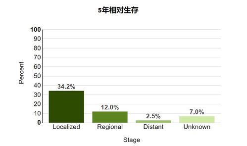 开启新篇章，了解单独二胎申请表的奥秘