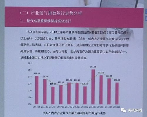 亲子鉴定的费用，揭开DNA之谜的经济之旅