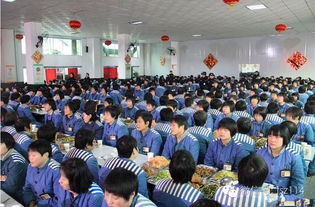揭秘辽宁省女子监狱，高墙之内的生活与改造