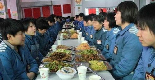揭秘辽宁省女子监狱，高墙之内的生活与改造