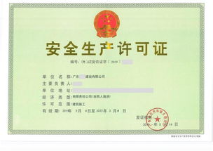 软件公司资质，开启成功的金钥匙