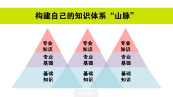 企业经营管理制度，构建高效组织的基石