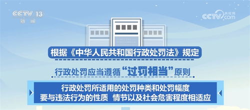 陕西省物价局，守护民生的经济卫士