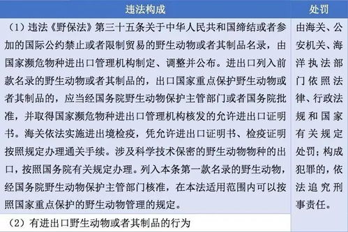 违法行为代码，理解与遵守