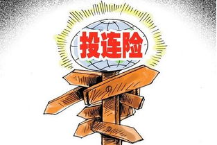 守护未来，寿险的全方位解读