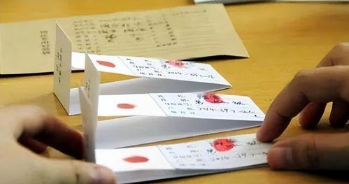 揭开真相，怀孕亲子鉴定的科学、伦理与法律探讨