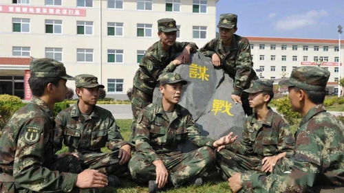 探索花都区民政局，为民服务的桥梁与纽带