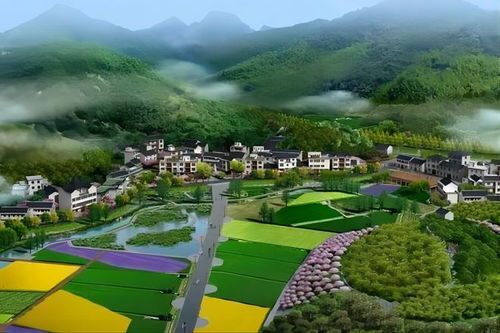 重庆幸运农场，都市中的田园梦，探索城市农业的绿色奇迹