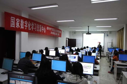 探索成人网论坛，一个连接、学习和成长的数字社区