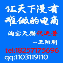 淘宝店铺租赁，开启电商之旅的新篇章